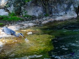 Tiergarten Schönbrunn am 03.10.2025